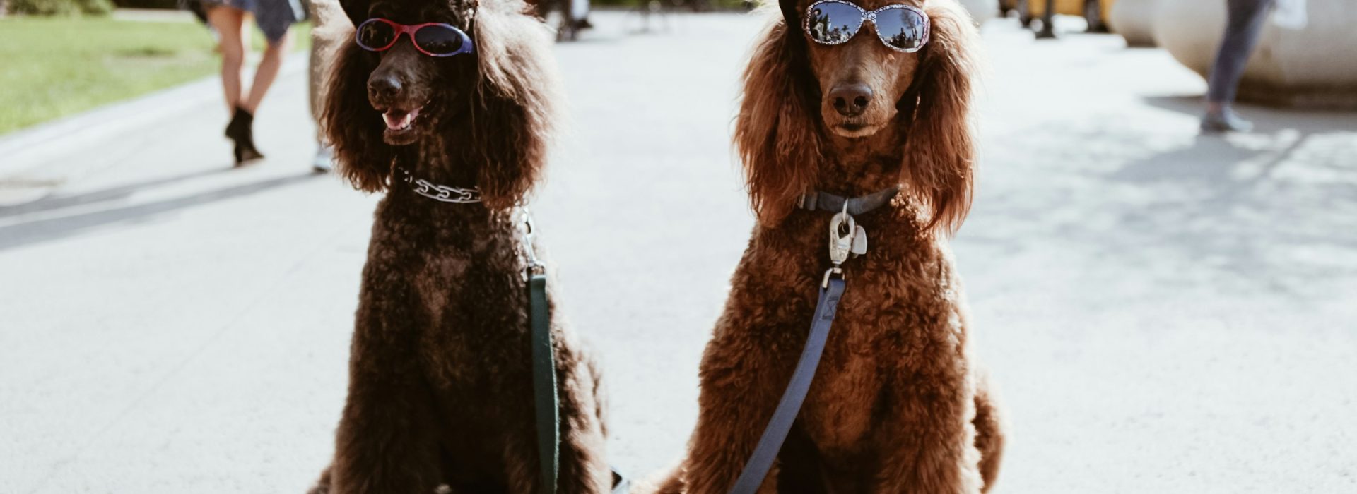 jenny-marvin-sljtwVaSj08-unsplash-2